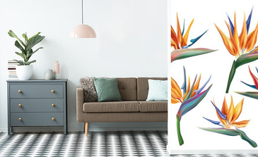 Visualisation du produit