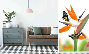 Visualisation du produit