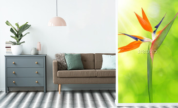 Visualisation du produit