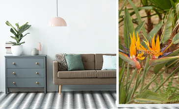 Visualisation du produit