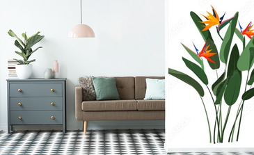 Visualisation du produit