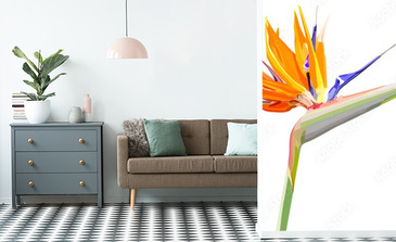 Visualisation du produit