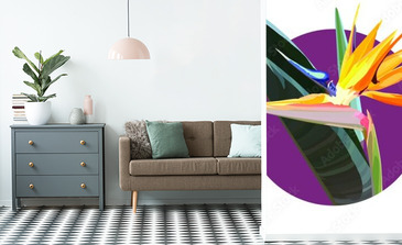 Visualisation du produit