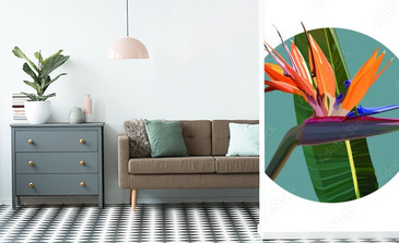 Visualisation du produit