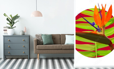 Visualisation du produit