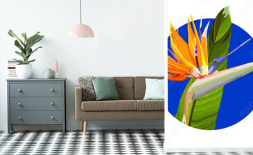 Visualisation du produit