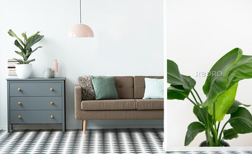 Visualisation du produit