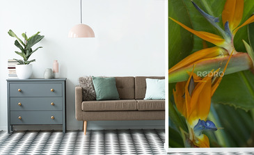 Visualisation du produit