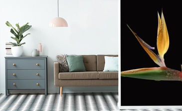 Visualisation du produit