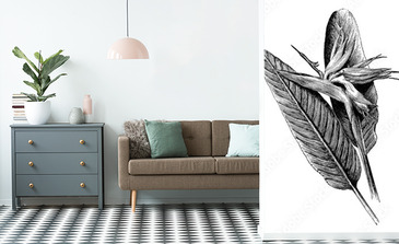 Visualisation du produit