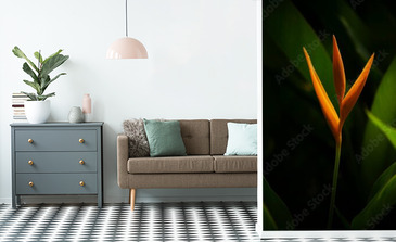 Visualisation du produit