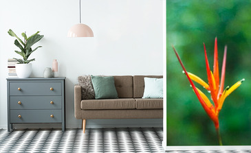 Visualisation du produit