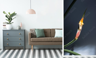 Visualisation du produit