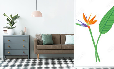 Visualisation du produit