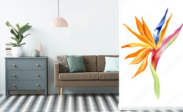 Visualisation du produit