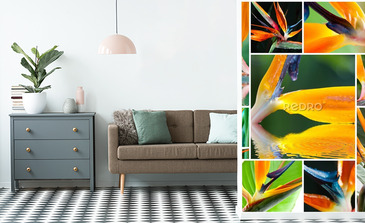 Visualisation du produit