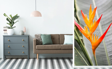 Visualisation du produit