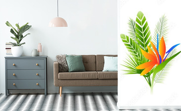 Visualisation du produit