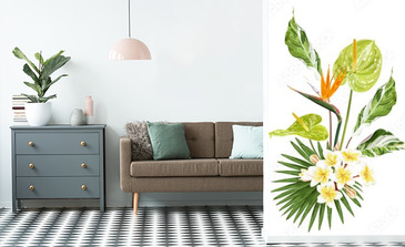 Visualisation du produit