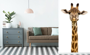 Visualisation du produit