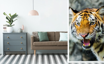 Visualisation du produit