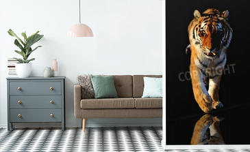 Visualisation du produit