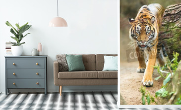 Visualisation du produit