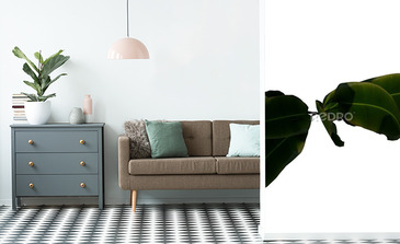 Visualisation du produit