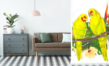 Visualisation du produit