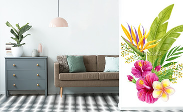 Visualisation du produit