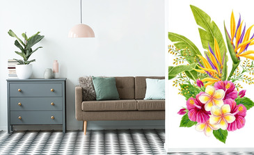 Visualisation du produit