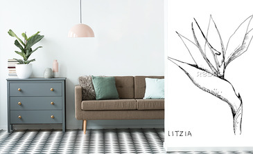 Visualisation du produit