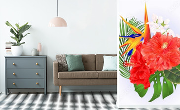 Visualisation du produit