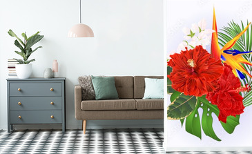 Visualisation du produit