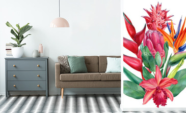 Visualisation du produit