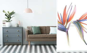 Visualisation du produit