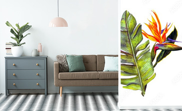 Visualisation du produit