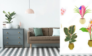 Visualisation du produit