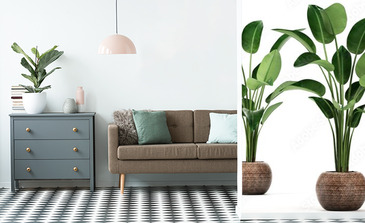 Visualisation du produit