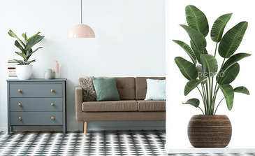 Visualisation du produit