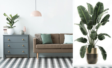 Visualisation du produit