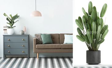 Visualisation du produit