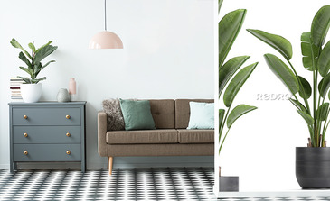 Visualisation du produit