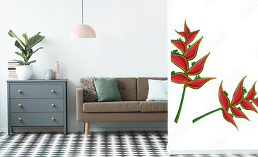 Visualisation du produit