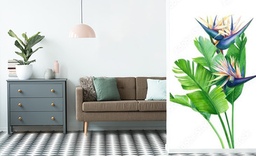 Visualisation du produit