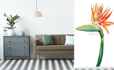 Visualisation du produit