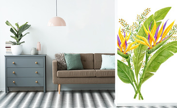 Visualisation du produit