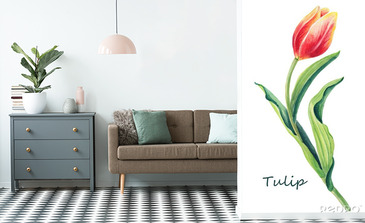 Visualisation du produit