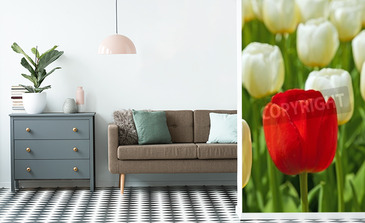 Visualisation du produit