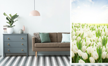 Visualisation du produit